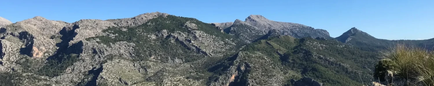 Casa en Mallorca. Villas Tramuntana