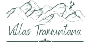 logo transparente